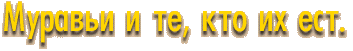 Муравьи и те, кто их ест.